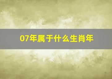 07年属于什么生肖年