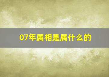 07年属相是属什么的