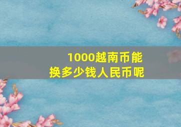 1000越南币能换多少钱人民币呢