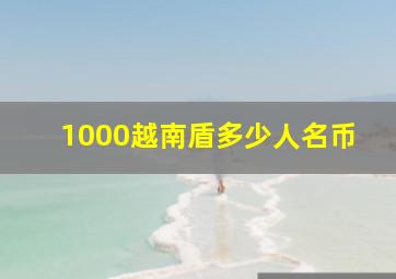 1000越南盾多少人名币