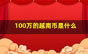 100万的越南币是什么