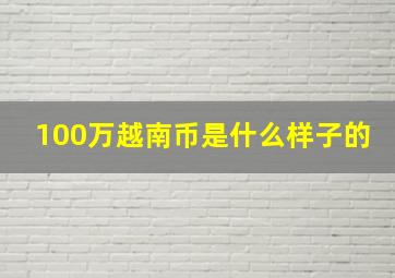 100万越南币是什么样子的