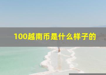 100越南币是什么样子的