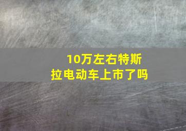 10万左右特斯拉电动车上市了吗