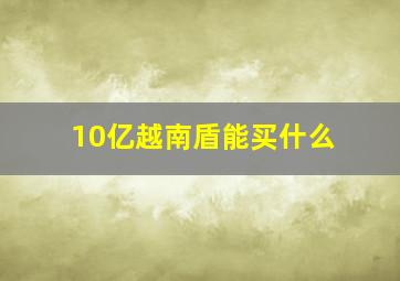 10亿越南盾能买什么