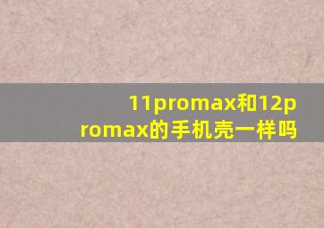 11promax和12promax的手机壳一样吗