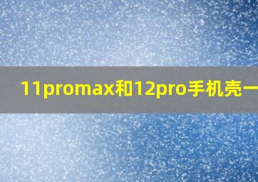 11promax和12pro手机壳一样吗