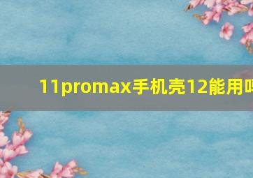 11promax手机壳12能用吗