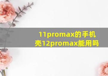 11promax的手机壳12promax能用吗