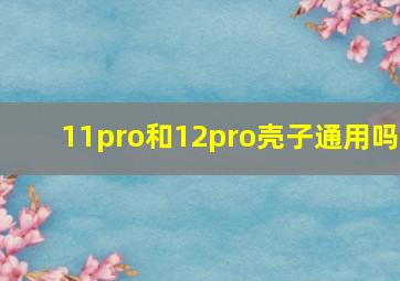 11pro和12pro壳子通用吗