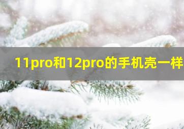 11pro和12pro的手机壳一样吗