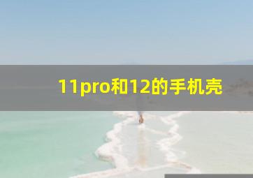 11pro和12的手机壳