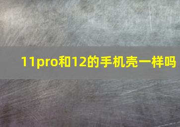 11pro和12的手机壳一样吗