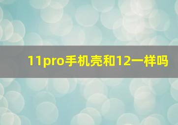 11pro手机壳和12一样吗