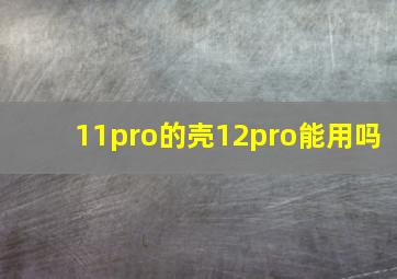 11pro的壳12pro能用吗