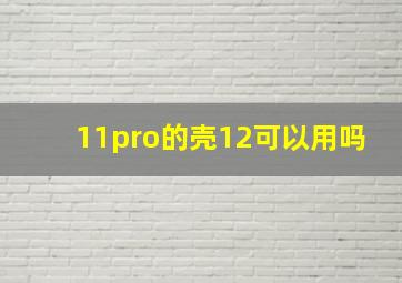 11pro的壳12可以用吗