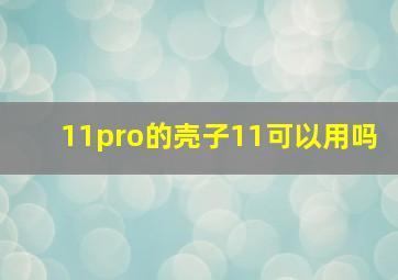 11pro的壳子11可以用吗