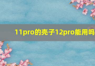 11pro的壳子12pro能用吗