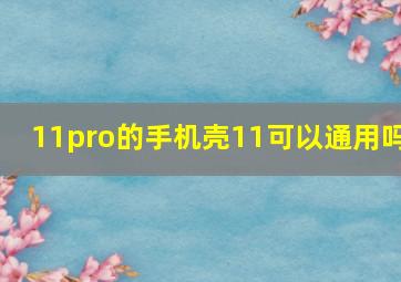 11pro的手机壳11可以通用吗