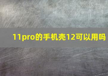 11pro的手机壳12可以用吗