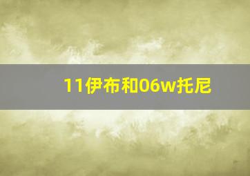 11伊布和06w托尼