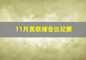 11月美联储会议纪要