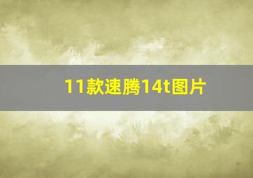 11款速腾14t图片