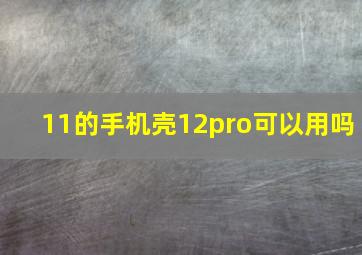 11的手机壳12pro可以用吗