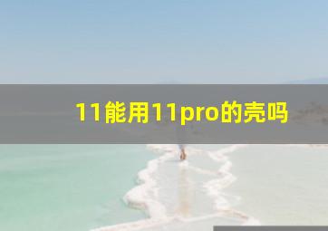 11能用11pro的壳吗