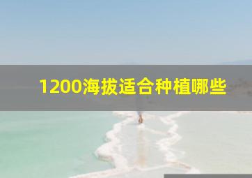 1200海拔适合种植哪些