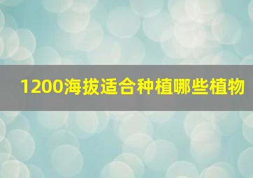 1200海拔适合种植哪些植物