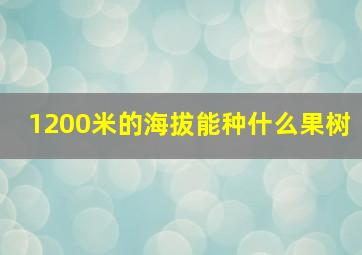 1200米的海拔能种什么果树