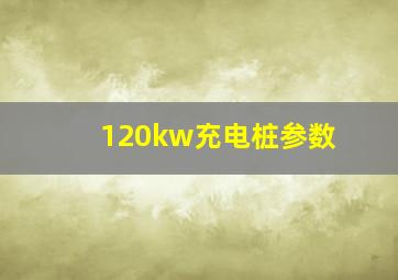 120kw充电桩参数