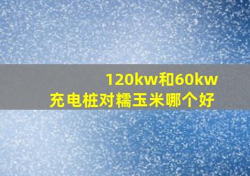 120kw和60kw充电桩对糯玉米哪个好