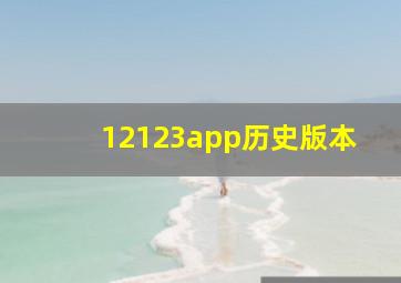 12123app历史版本