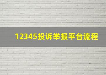 12345投诉举报平台流程