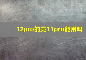 12pro的壳11pro能用吗