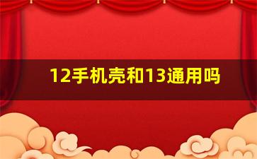 12手机壳和13通用吗