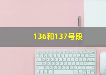 136和137号段