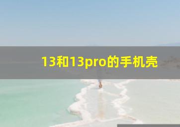 13和13pro的手机壳