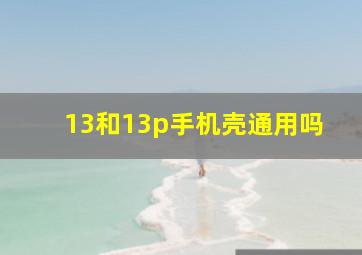 13和13p手机壳通用吗