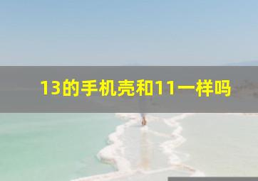 13的手机壳和11一样吗