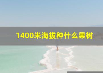 1400米海拔种什么果树