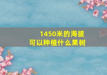 1450米的海拔可以种植什么果树