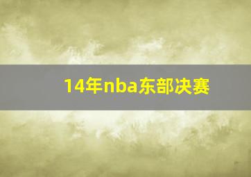 14年nba东部决赛