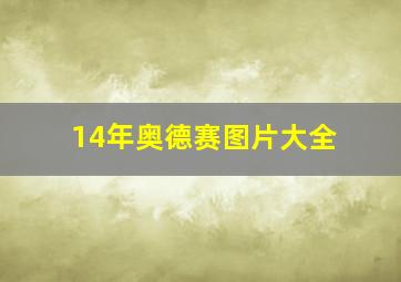 14年奥德赛图片大全