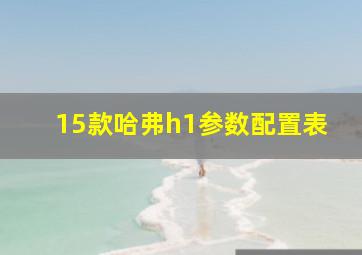 15款哈弗h1参数配置表