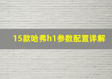 15款哈弗h1参数配置详解