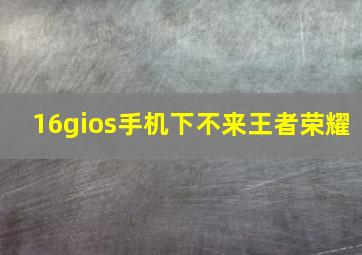 16gios手机下不来王者荣耀