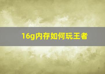 16g内存如何玩王者